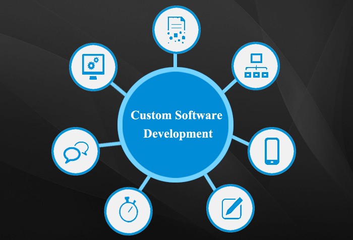 Custom-Software-Development