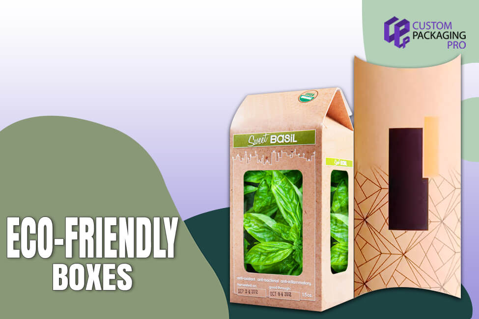 Eco-Friendly Boxes