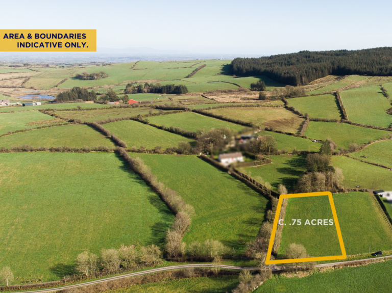 Land for Sale in Bailieborough: A Hidden Gem Beckoning Opportunity