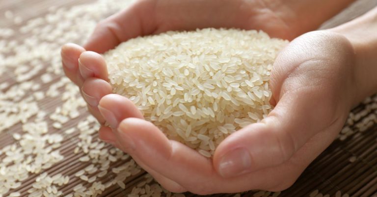 Parboiled Rice and White Rice Market